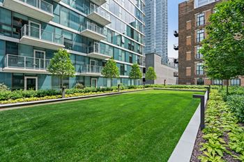 Lush green outdoors